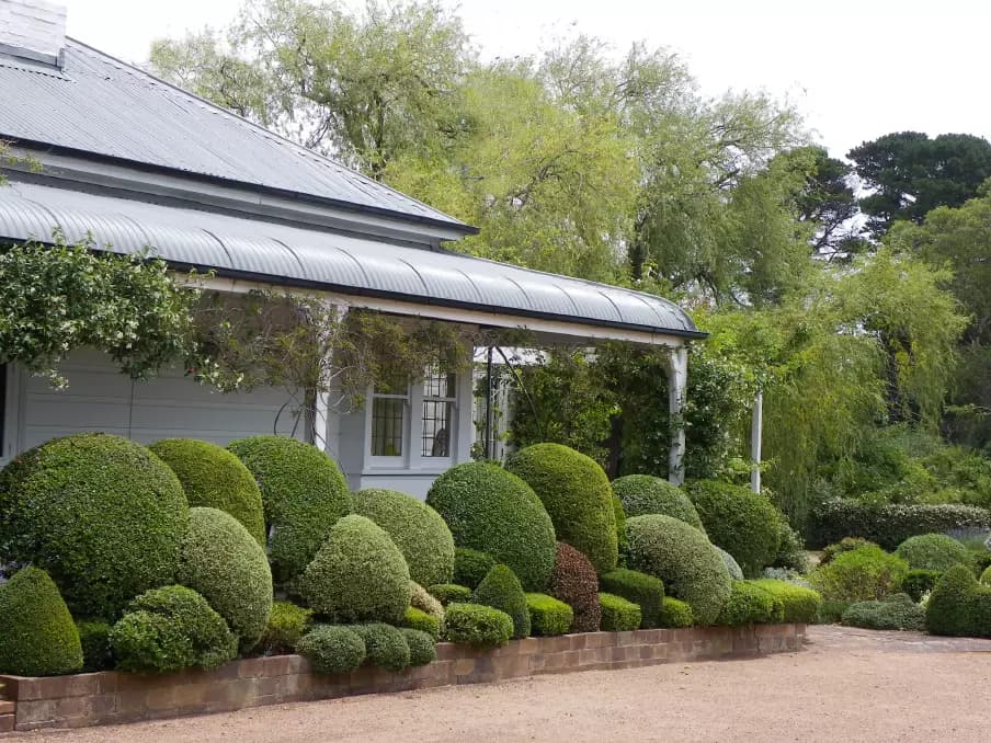 Garden image 1