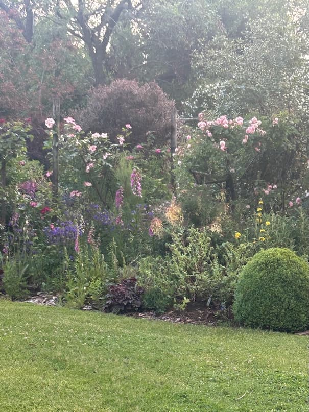 Garden image 2