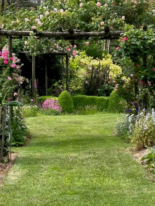 Garden image 4