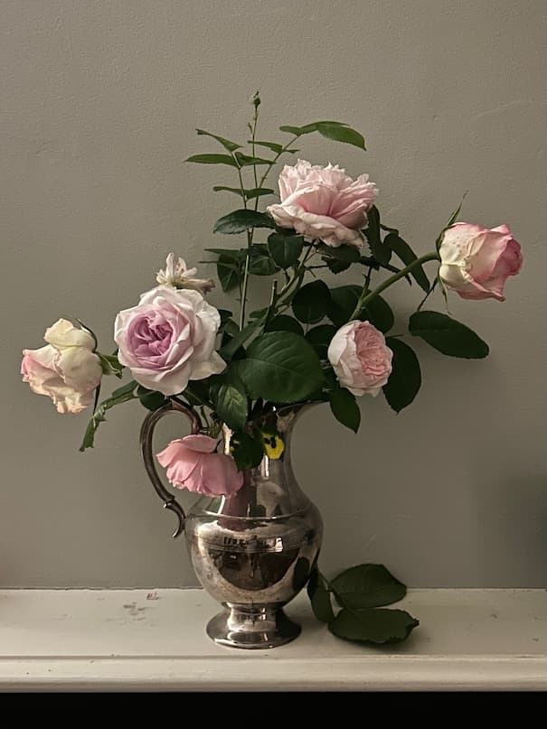 Garden image 22